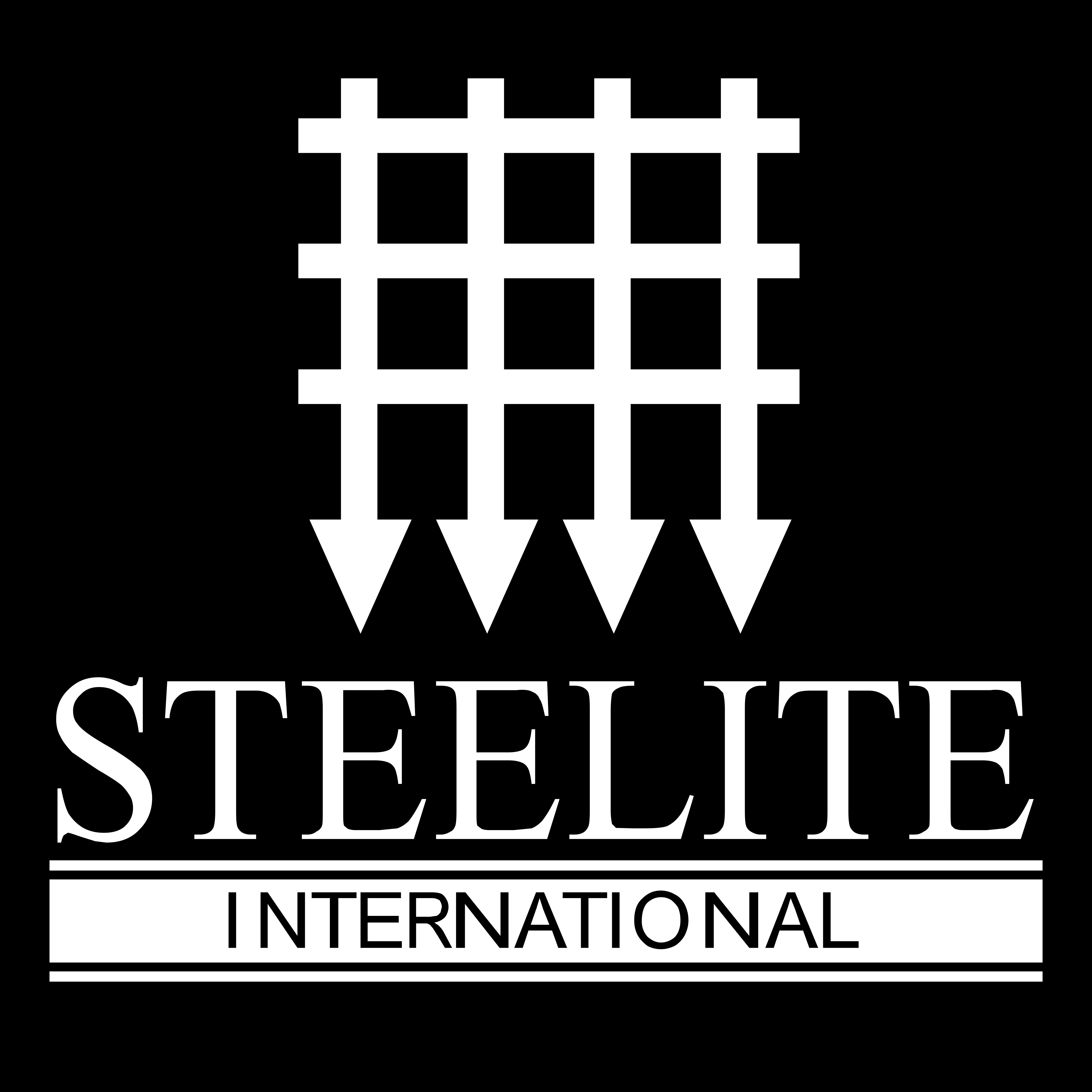 Steelite International